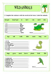 English Worksheet: Wild animals