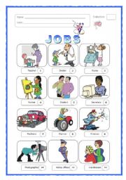 English Worksheet: Jobs (2 pages)