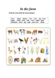 English worksheet: in the farm