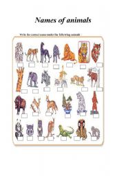 English Worksheet: names of animals