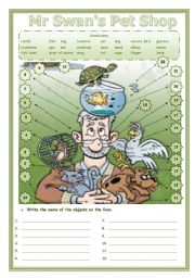 English Worksheet: MR SWANS PET SHOP **2 pages**