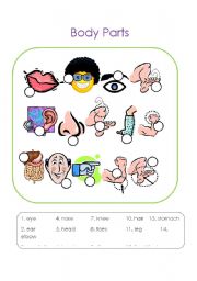 English Worksheet: Body Parts