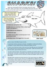 SHARKS! - AMAZING READING AND VOCABULARY SET (3 pages + answer keys)