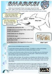 English Worksheet: SHARKS! - AMAZING READING AND VOCABULARY SET (3 pages + answer keys)