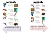 English worksheet: Mini Quiz - Animals
