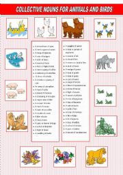 English Worksheet: collective names for animals and birds