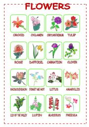 English Worksheet: Flowers (2/3)