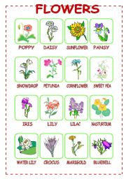 English Worksheet: Flowers (1/3)