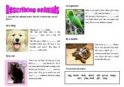English Worksheet: description of animals
