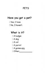 English worksheet: Have you got a Pet?