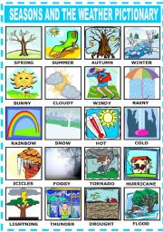 English Worksheet: SEASONS AND THE WEATHER - PICTIONARY