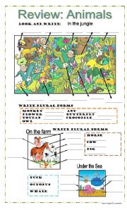 English Worksheet: Wild, farm, and sea animals and plurals