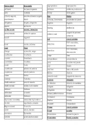 English Worksheet: Law vocabulary
