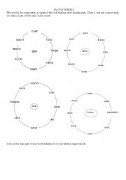 English worksheet: Wagon Wheels