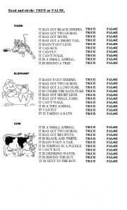 English Worksheet: ANIMALS