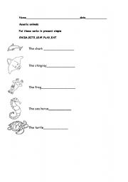 English worksheet: acuatic animals