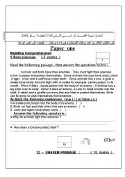 English worksheet: English Test