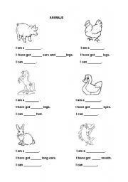 English Worksheet: what have the animals got and what can they do