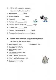 English Worksheet: Possessive pronouns