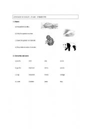 English Worksheet: Test on clothes, to be and endangered animals