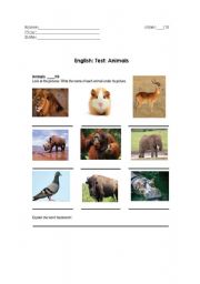 English worksheet: Animals: test or exercise