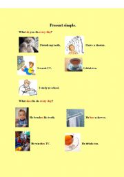 English worksheet: Present Simple.