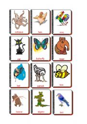 English Worksheet: Flashcards Animals 1