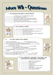 English Worksheet: More wh-questions (WHAT, WHICH, HOW , WHOSE and HOW)