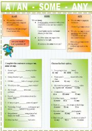 English Worksheet: A / AN  -  SOME - ANY