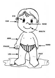 My body