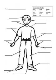 English Worksheet: Body Vocabulary Quiz