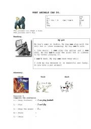 English worksheet: What animals can do