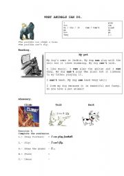 English Worksheet: What animals can do