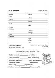 English Worksheet: nouns