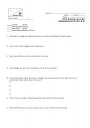 English worksheet: Movie Worksheet - Evolution (bio unit)