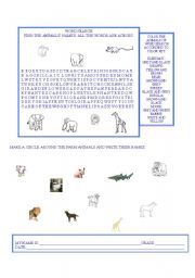 English worksheet: ANIMALS & COLORS
