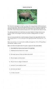 English Worksheet: Rhinoceros