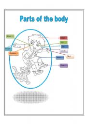 English worksheet: Parts of the Body