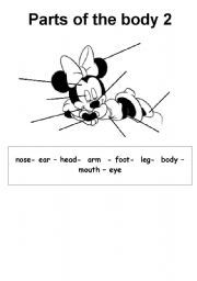 English worksheet: PARTS OF THE BODY