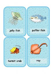 English Worksheet: A set of 24 marine animals 