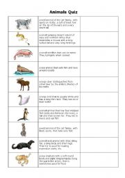 Animals quiz Page1