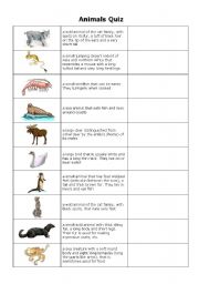 English Worksheet: Animals quiz Page1