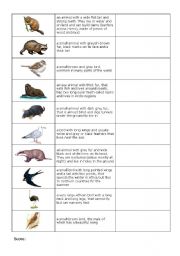 English Worksheet: Animals quiz Page2