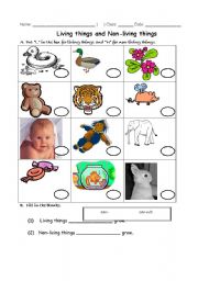 English Worksheet: living and non living things