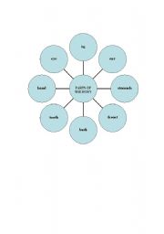 English worksheet: Parts of the body diagram