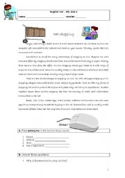 English Worksheet: NET SHOPPING 