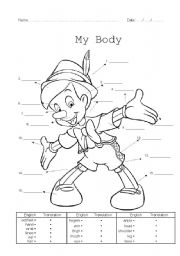 English Worksheet: My Body