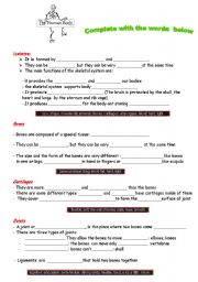 English worksheet: The Human body