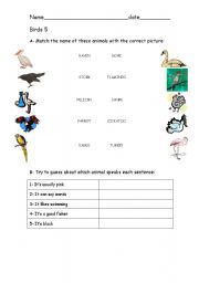 English worksheet: Birds 5