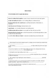 English Worksheet: Animal Idioms